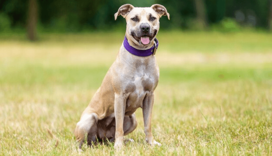 Grand Velas Riviera Maya