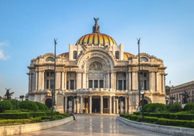 088e8706200305a918df4e7d756b78af