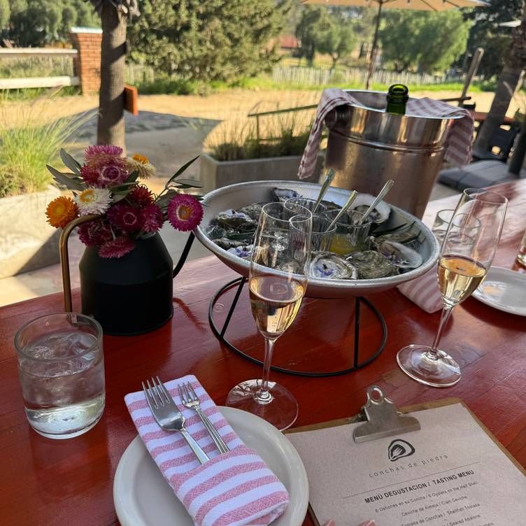 Conchas de Piedra: Drew Deckman