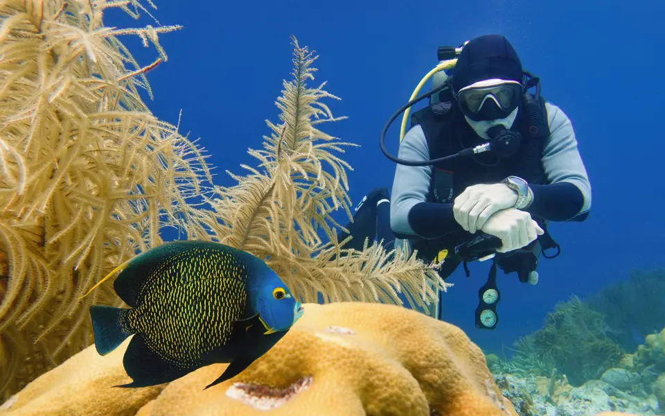 Princess Hotel and Dive Resort