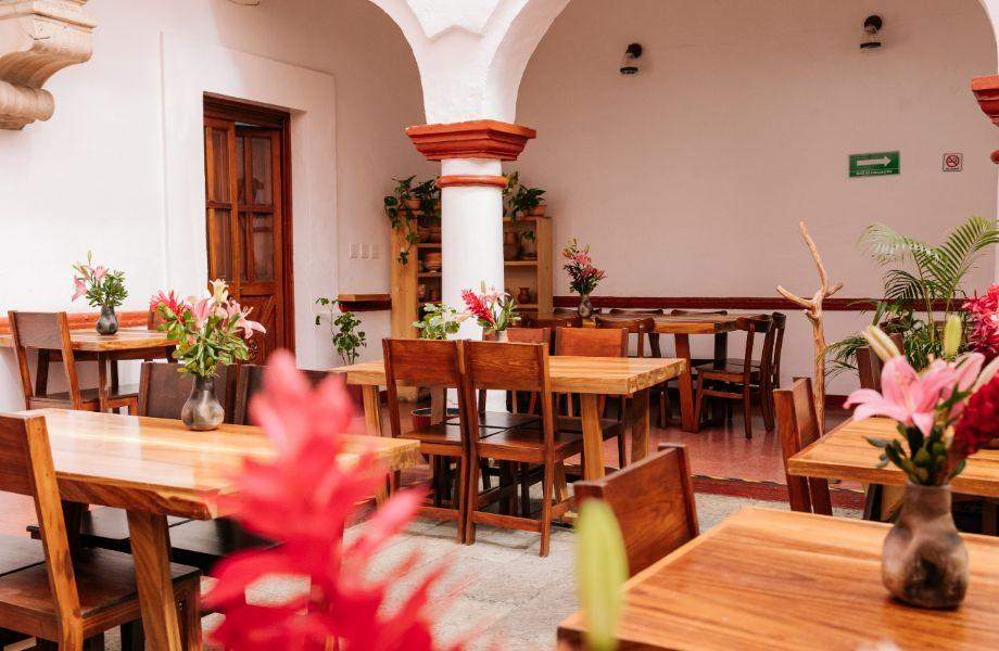 Levadura de Olla: Thalía Barrios