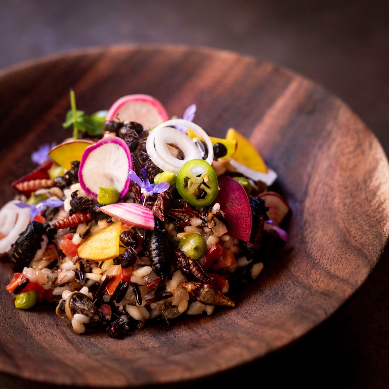 Los Danzantes Oaxaca