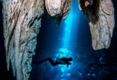 Cenotes Tours Yucatán