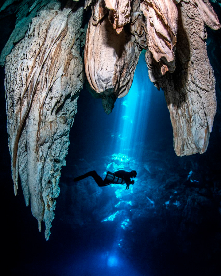 Cenotes Tours Yucatán