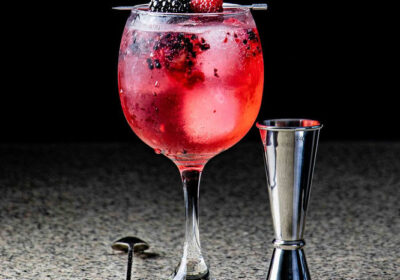 gin-tonic-de-frutos-rojos