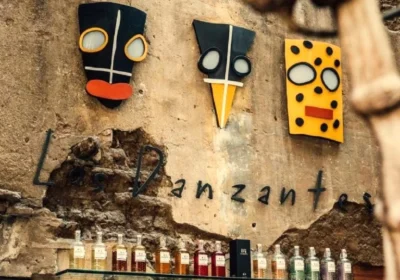 los_danzantes_oaxaca