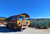 Mezcal Tour Oaxaca
