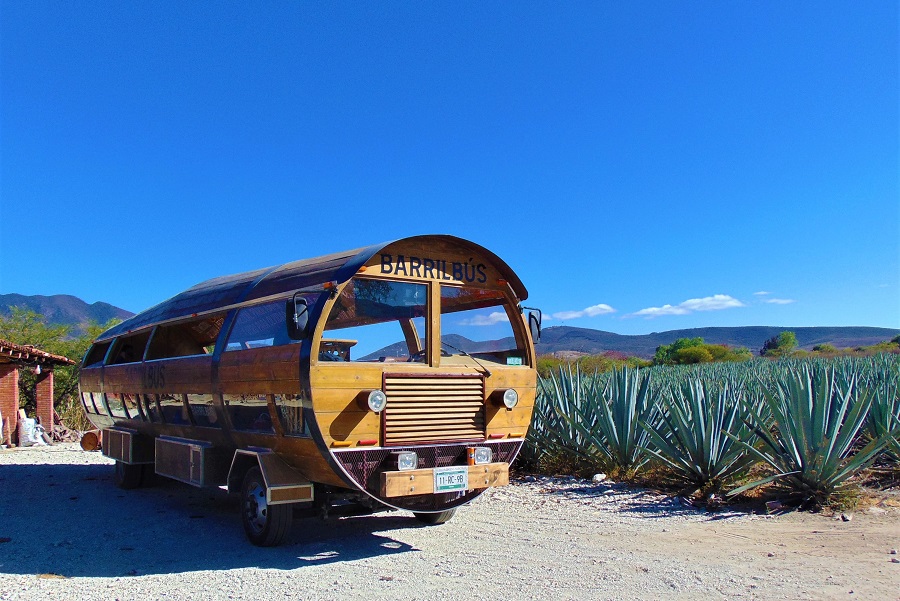 Mezcal Tour Oaxaca