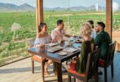 Valle de Guadalupe