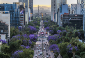 Ciudad de México: capital cultural de América Latina