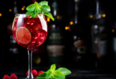 Gin Con Frutos Rojos