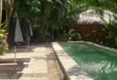 Piedra de agua palenque