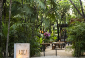 Cocina Mexicana Arca Tulum : José Luis Hinostroza