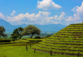Guachimontones