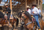 Fiestas Charrotaurinas de Villa de Álvarez