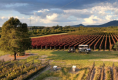 Ruta del vino – Hacienda de los Moreno