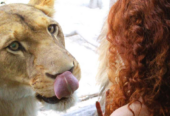 Zoológico En Puebla: Africam Safari