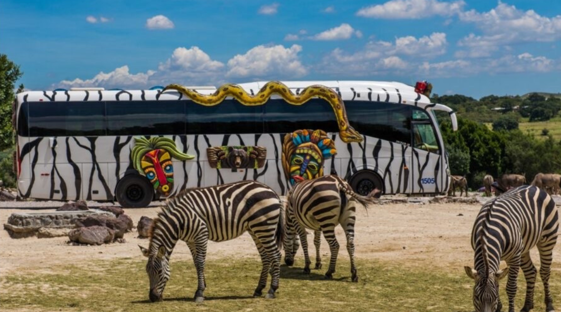 Zoológico En Puebla: Africam Safari