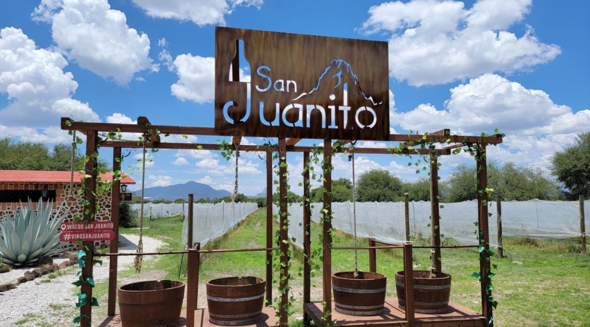 Winery San Juanito Vitivinicola