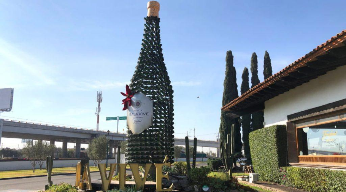 Viñedo salavive