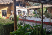 Spa Tonantzin: El Susurro de la Diosa en el Corazón de Cholula