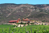 Valle de Guadalupe