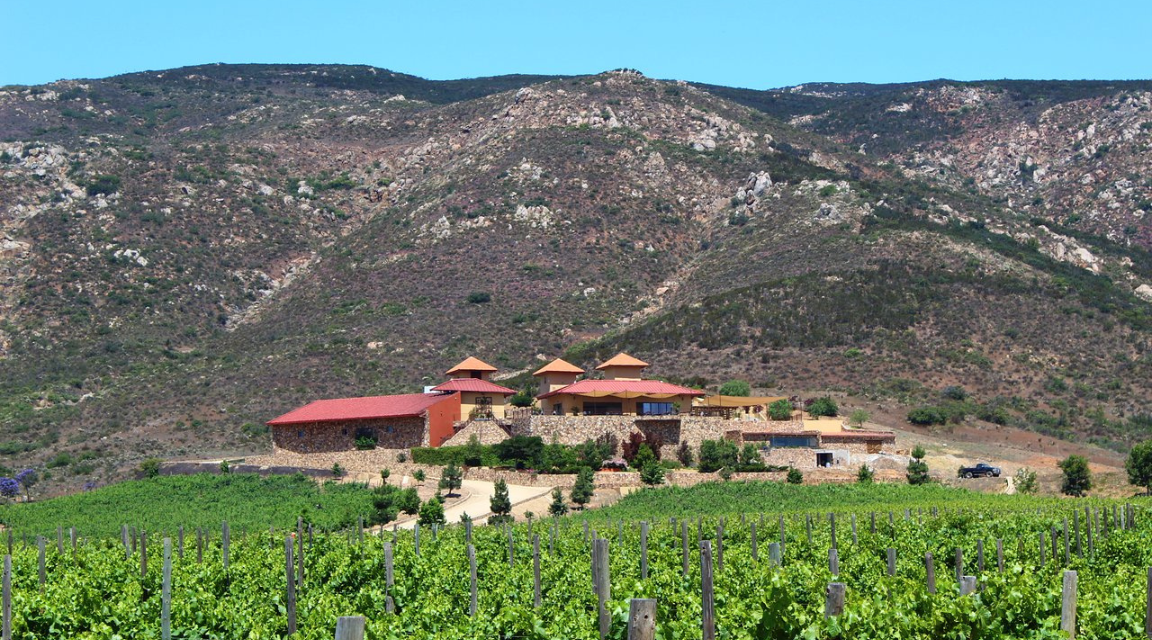 Valle de Guadalupe