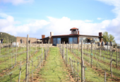 Vinos Xecué