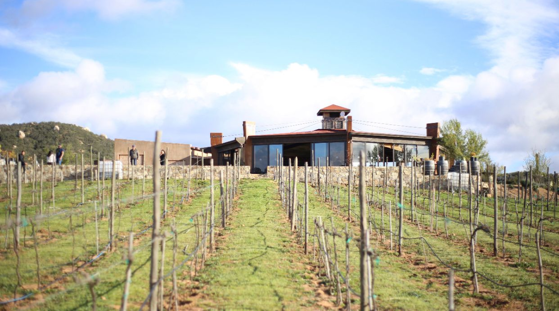 Vinos Xecué