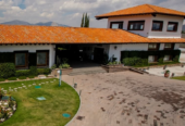Viñedo salavive