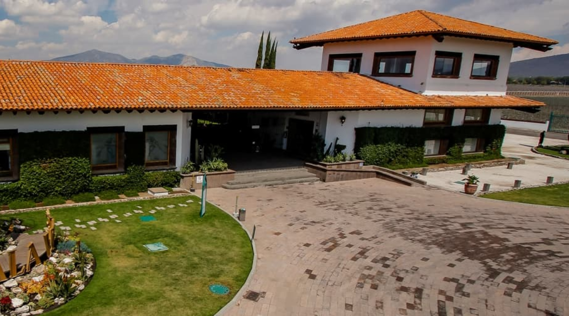 Viñedo salavive