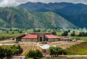 Bodegas De Santo Tomás