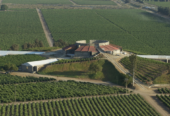 Bodegas De Santo Tomás