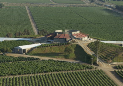 san-cristobal221