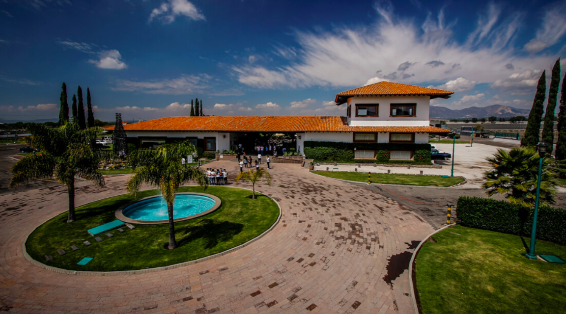 Viñedo salavive