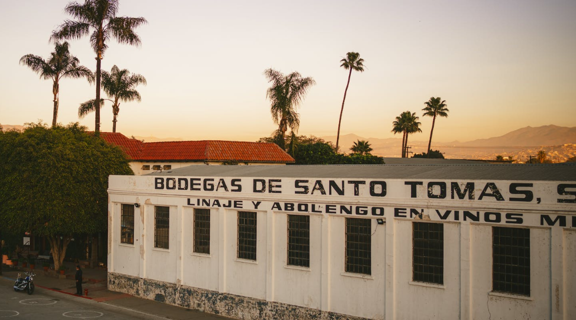 Bodegas De Santo Tomás