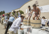 Fiestas de la Vendimia
