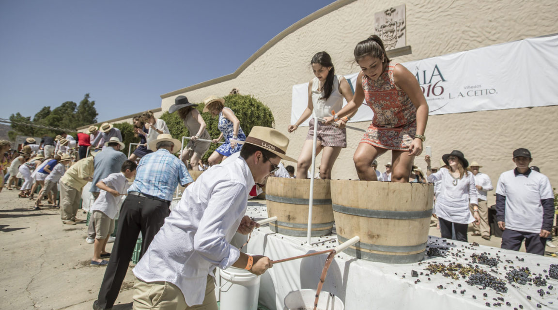 Fiestas de la Vendimia