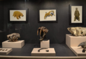 Museo Regional de Guadalajara