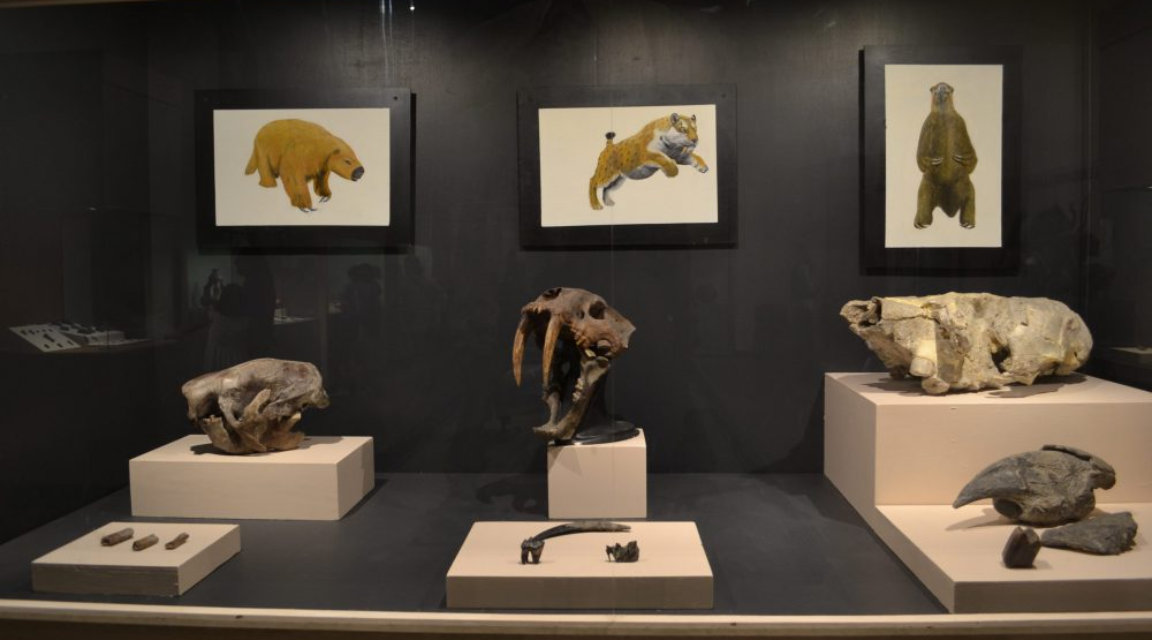 Museo Regional de Guadalajara