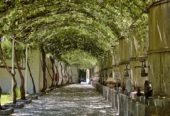 Parras de la Fuente