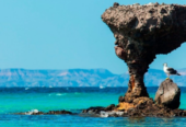 Playa “Hongo de Balandra”
